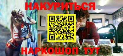 дмт Новокубанск