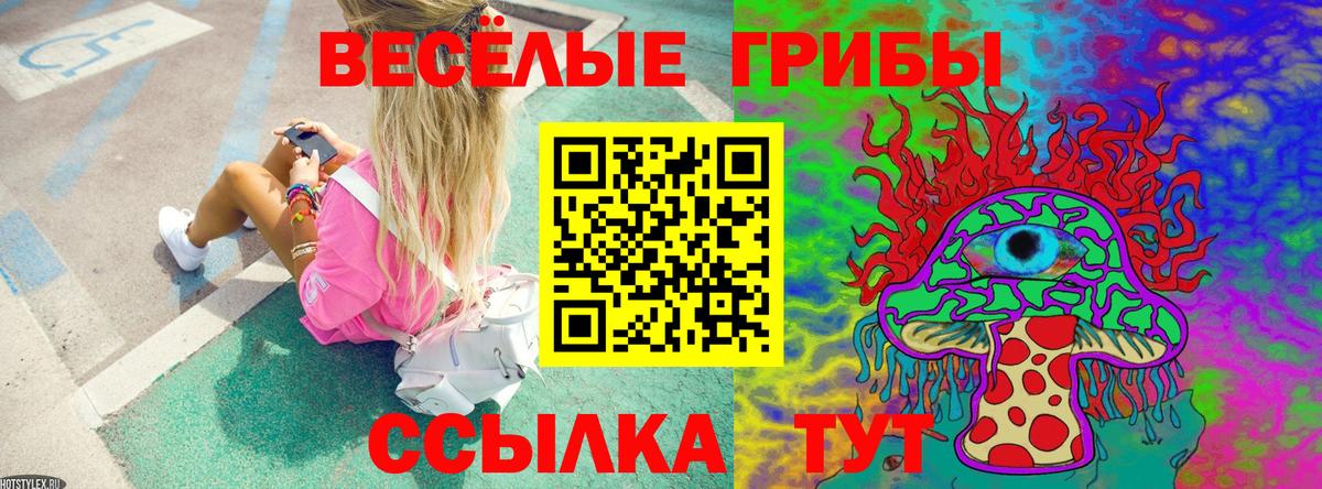 Арсеньев  наркошоп  Вход с VPN  Псилоцибиновые грибы GOLDEN TEACHER 
