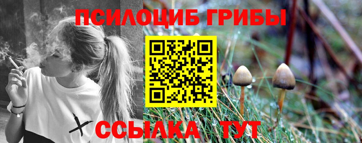 Псилоцибиновые грибы ЛСД Арсеньев